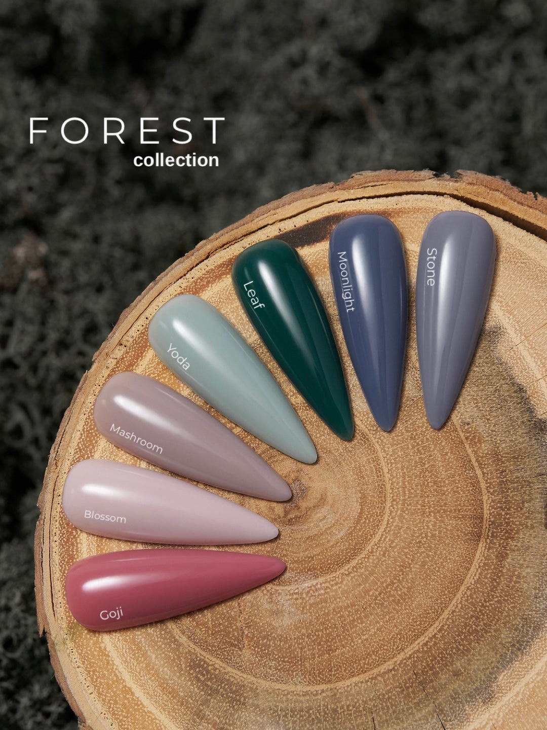 Tint base FOREST